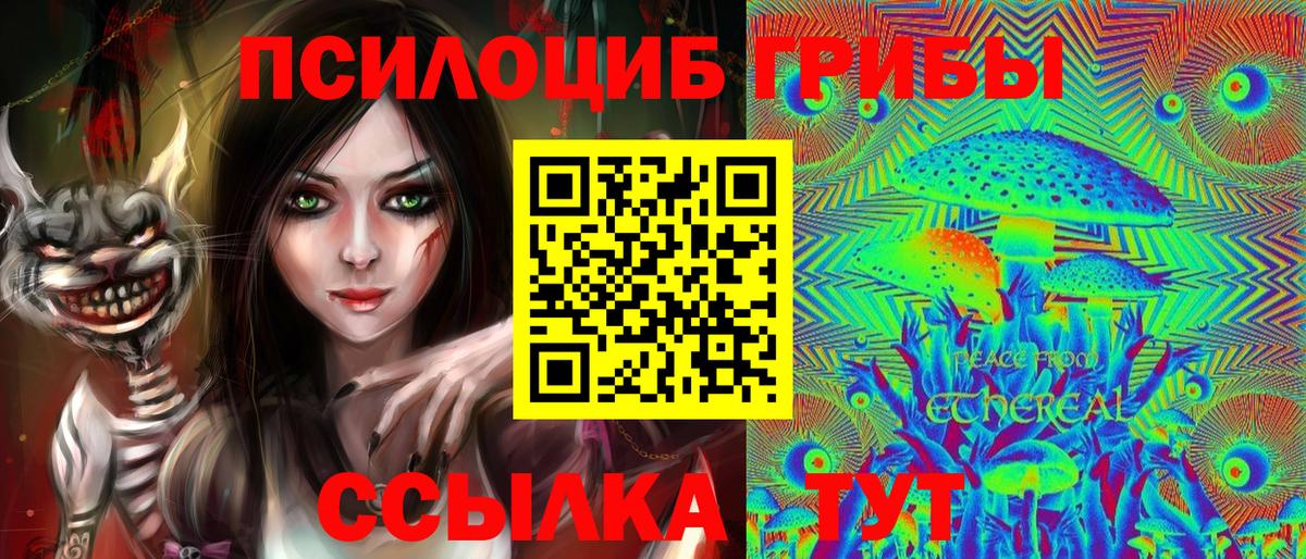 Псилоцибиновые грибы GOLDEN TEACHER Большой Камень