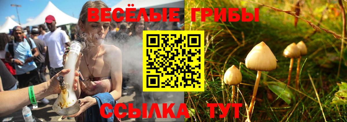 Псилоцибиновые грибы Cubensis  Вход с VPN  Большой Камень 